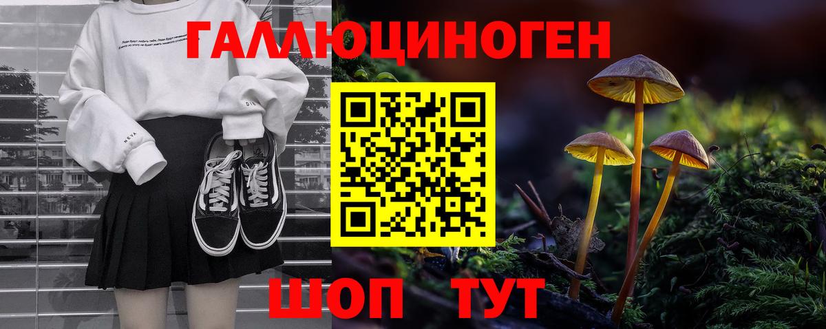 Кировск  Галлюциногенные грибы ЛСД  Вход с VPN 